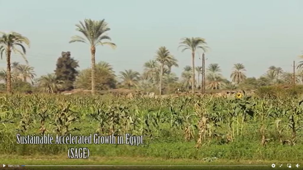 EU “Sustainable Accelerated Growth in Egypt” (SAGE) project